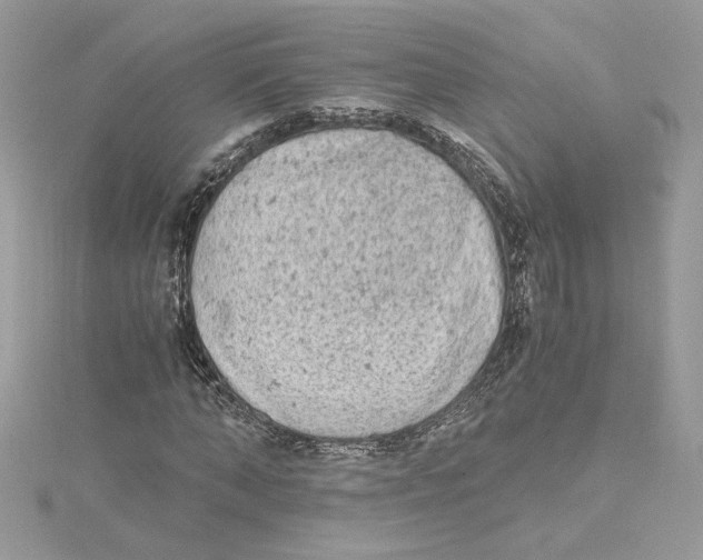 X0000115020870200911161444