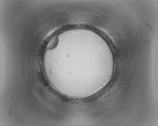 X0000115020871200911161444