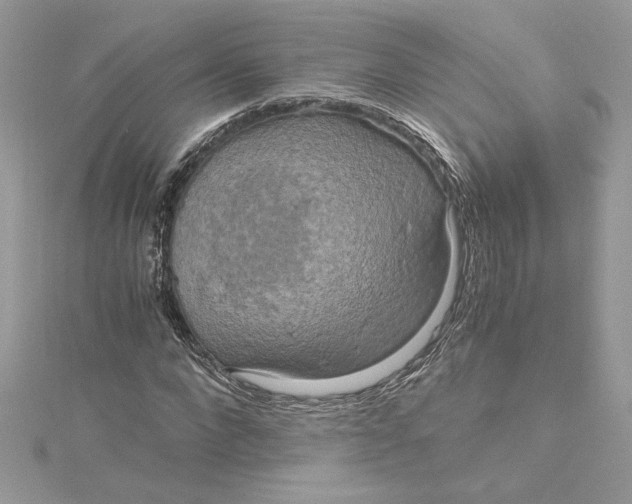 X0000115020872200911161444