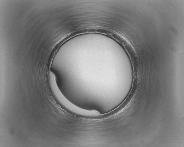 X0000115020873200911161444