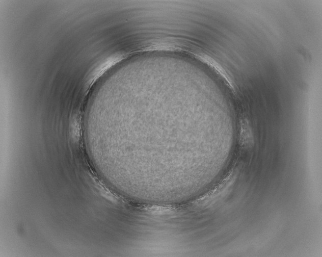 X0000115020874200911161444