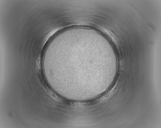 X0000115020875200911161443