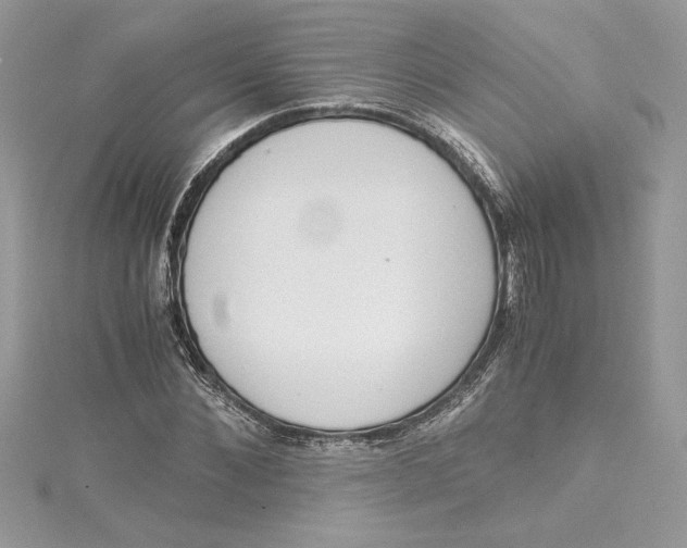 X0000115020876200911161443