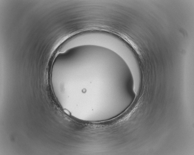 X0000115020877200911161443