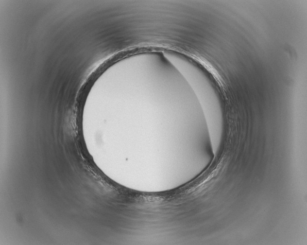 X0000115020878200911161443