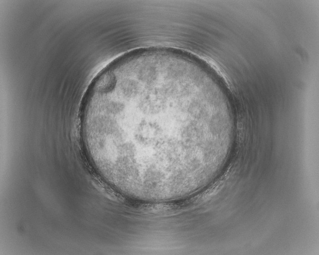 X0000115020879200911161443