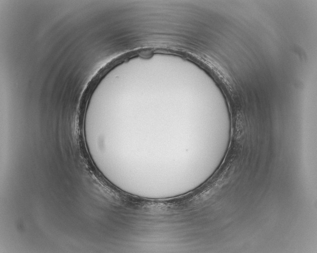 X0000115020880200911161443