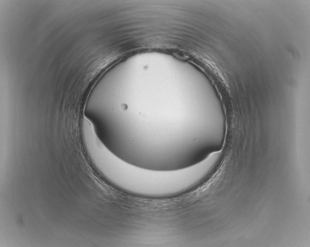 X0000115020881200911161443