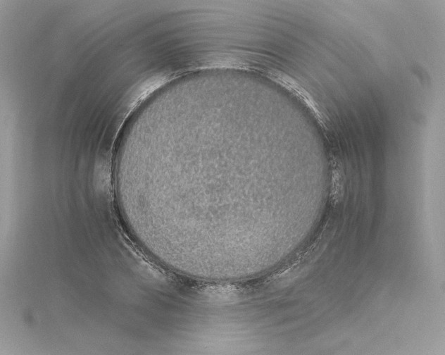 X0000115020882200911161443