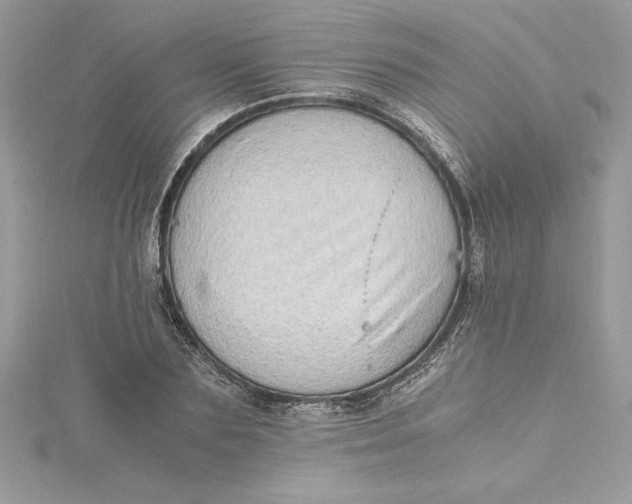 X0000115020883200911161443