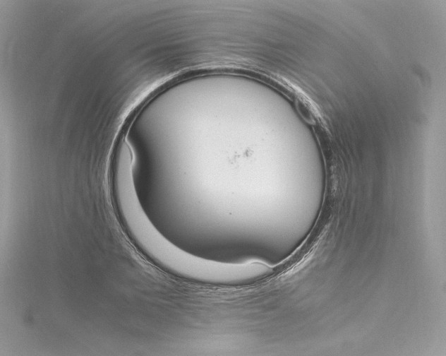 X0000115020885200911161443