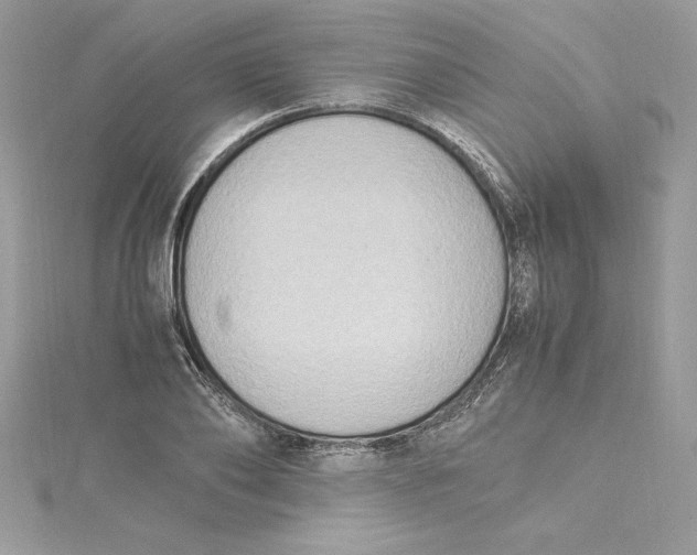 X0000115020886200911161443