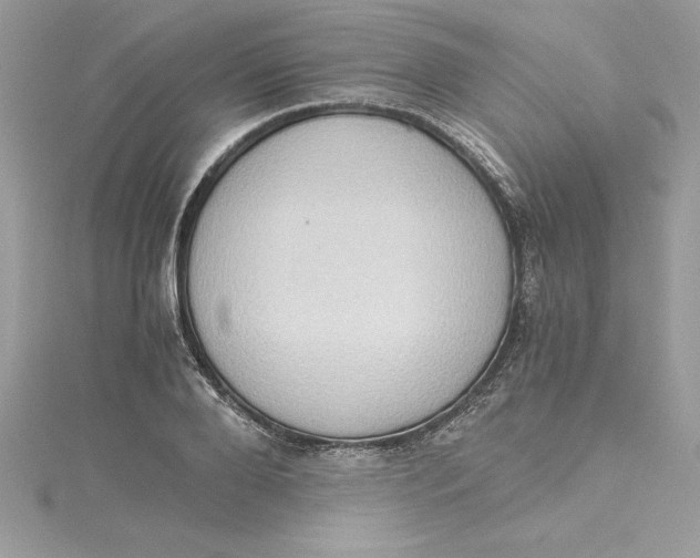 X0000115020888200911161443