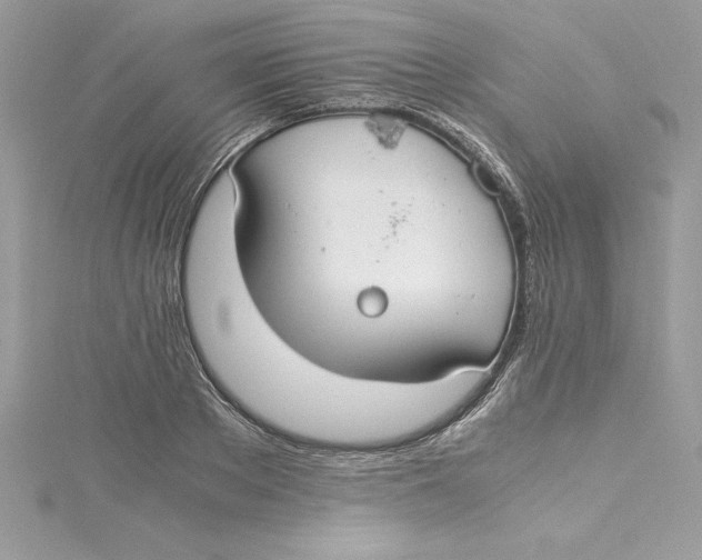 X0000115020889200911161443