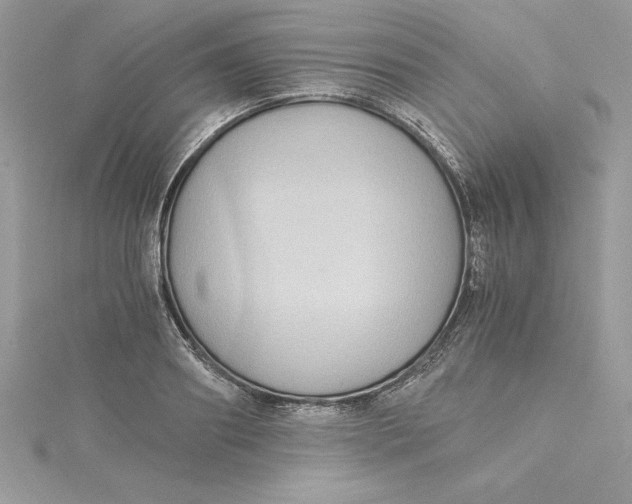 X0000115020890200911161443