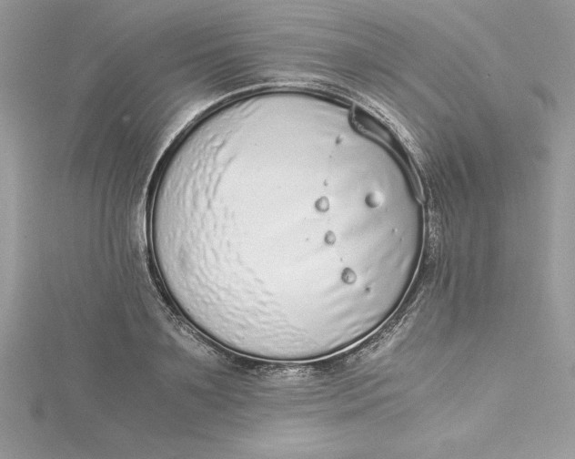 X0000115020891200911161443