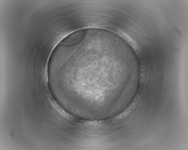 X0000115020892200911161443