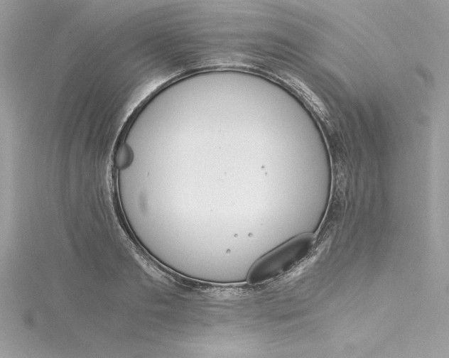 X0000115020893200911161443