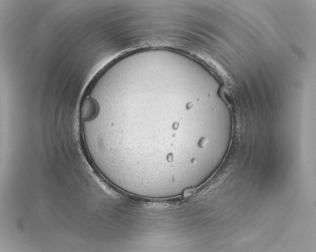 X0000115020894200911161443