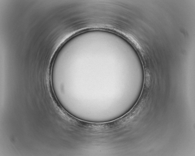 X0000115020895200911161443