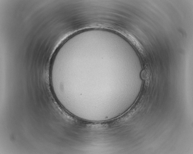 X0000115020896200911161443