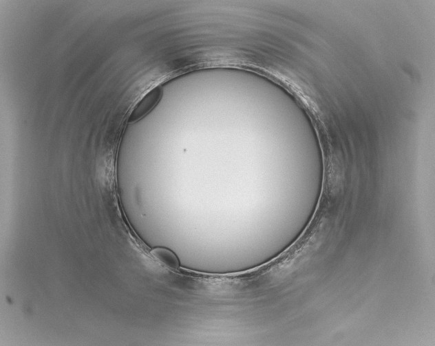 X0000115020897200911161443