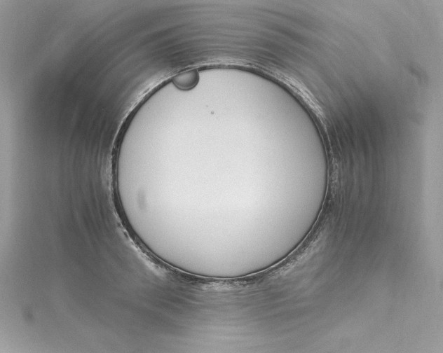 X0000115020898200911161443