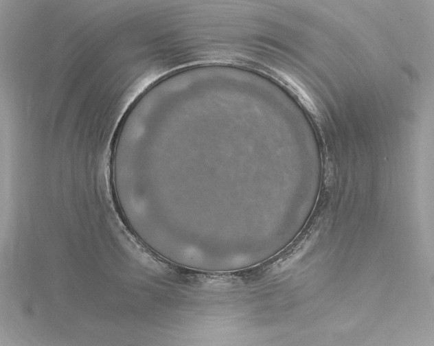 X0000115020899200911161443