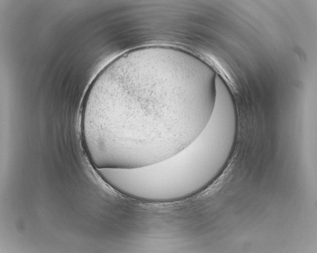 X0000115020900200911161443