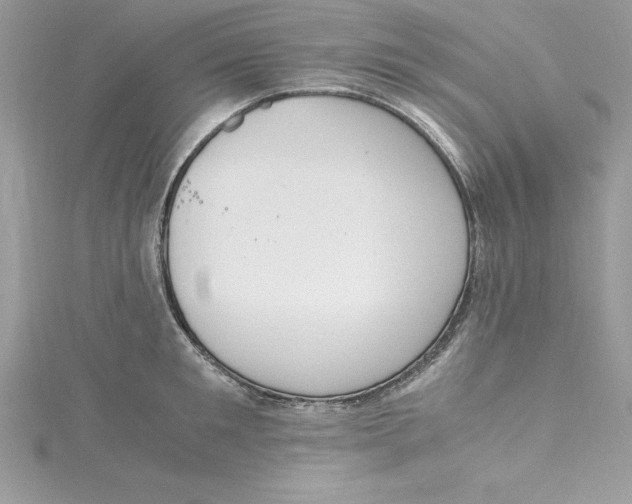 X0000115020901200911161443