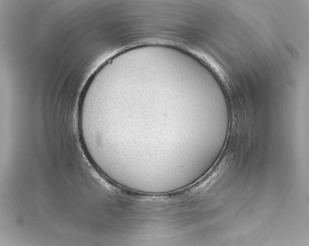 X0000115020902200911161443