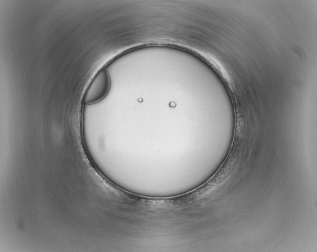 X0000115020903200911161443