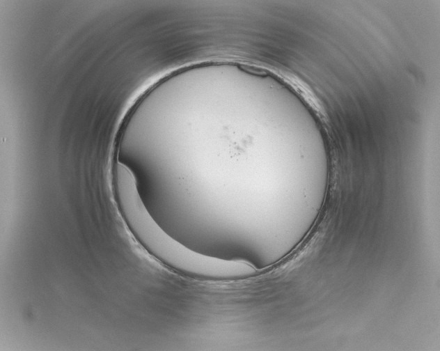 X0000115020904200911161443