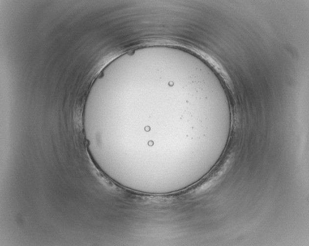 X0000115020905200911161443