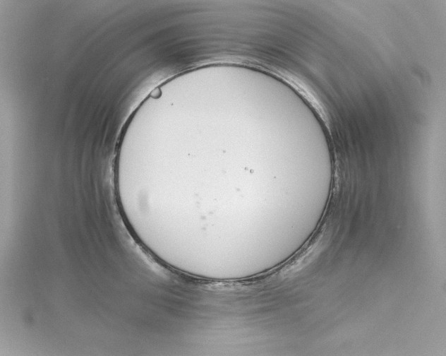 X0000115020906200911161443