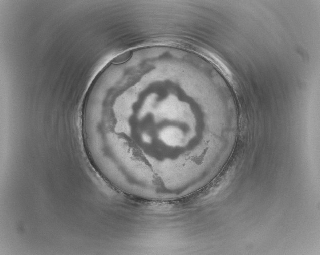 X0000115020907200911161443