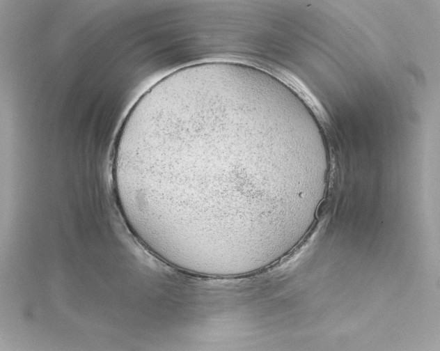 X0000115020908200911161443