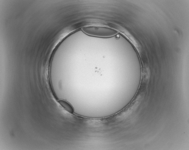 X0000115020909200911161443