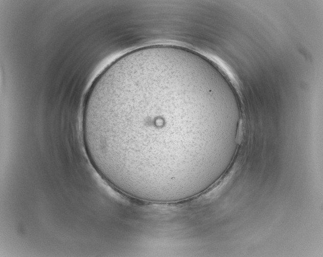 X0000115020910200911161443