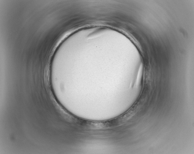 X0000115020911200911161443