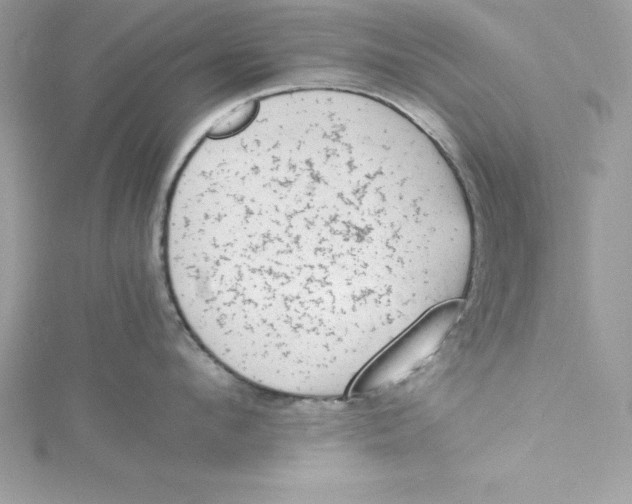 X0000115020912200911161443