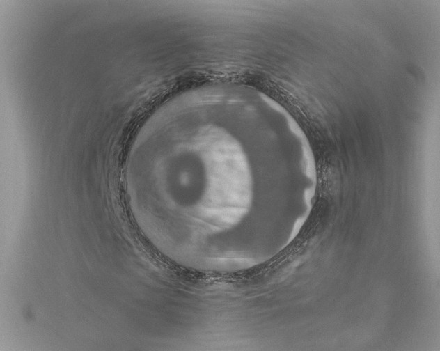 X0000115020913200911161442