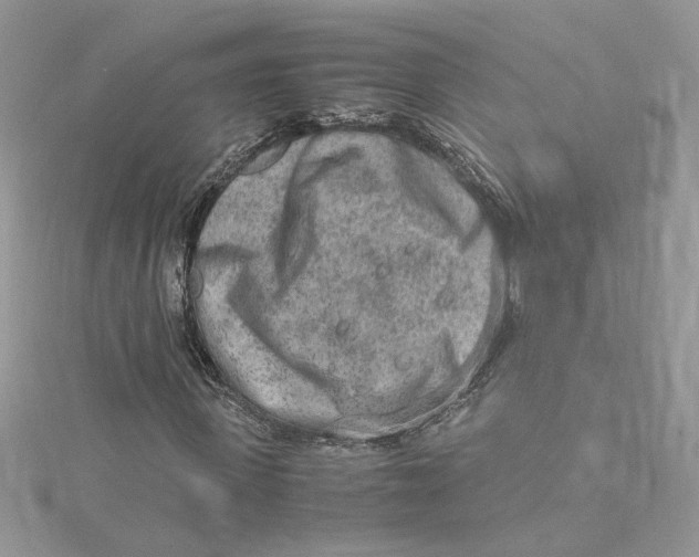 X0000115020915200911161442