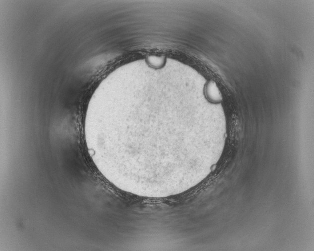 X0000115020918200911161442