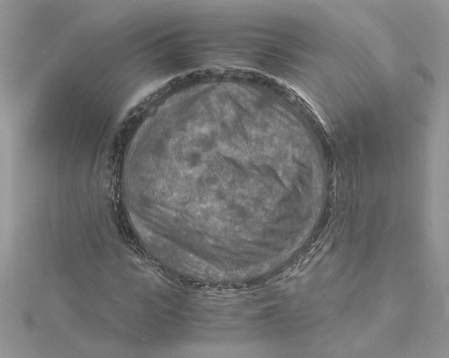 X0000115020919200911161442