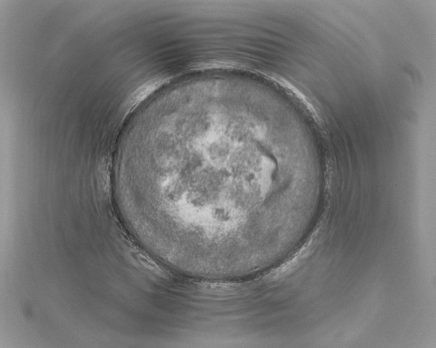 X0000115020921200911161443