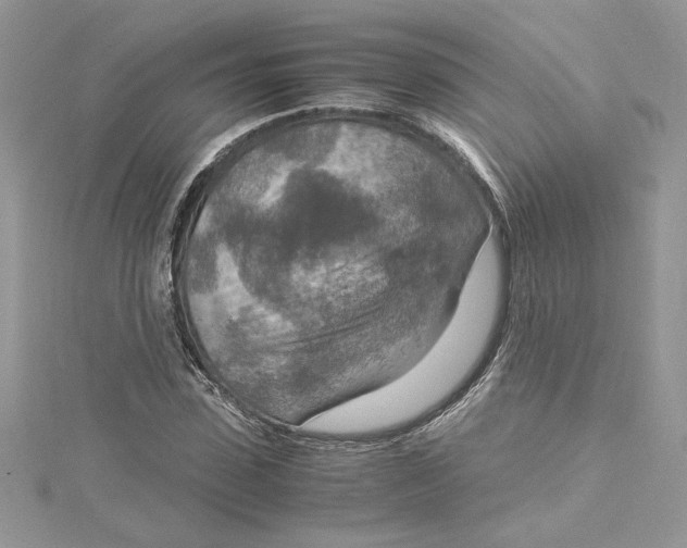 X0000115020923200911161443