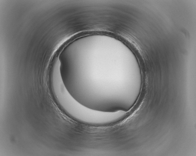 X0000115020925200911161443