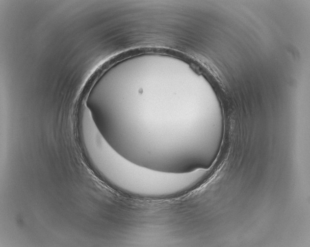 X0000115020926200911161443