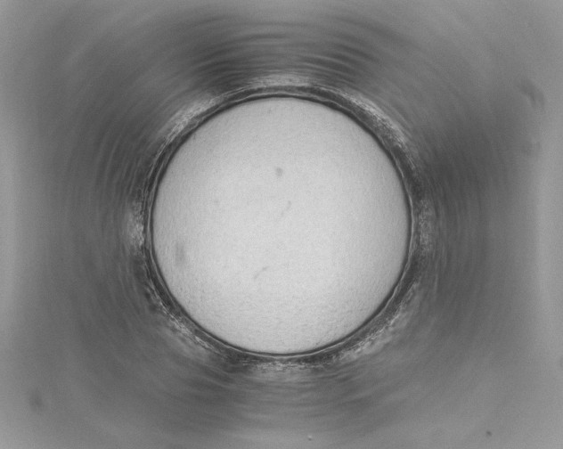 X0000115020929200911161443